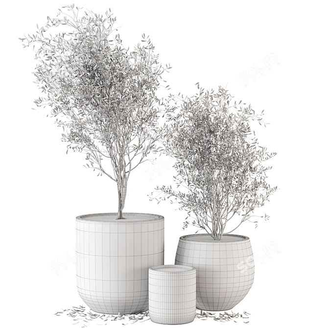 Dark Concrete Pot Outdoor Plant Set 3D model image 4