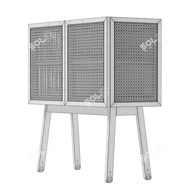 Title: Rattan Door Cabinet: Stylish Storage Solution 3D model image 5