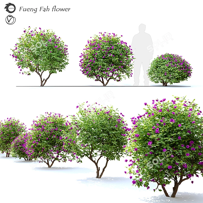 Vibrant Bougainvillea Flower 3D model image 1