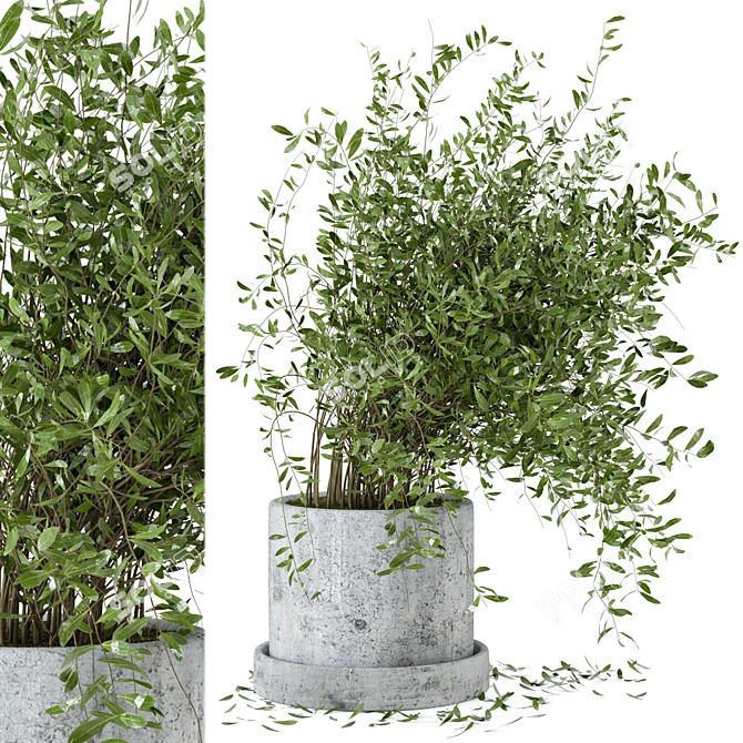 Rusty Concrete Pot Indoor Plant Set 3D model image 1
