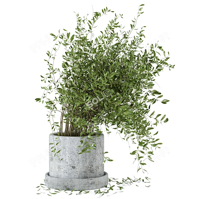 Rusty Concrete Pot Indoor Plant Set 3D model image 2