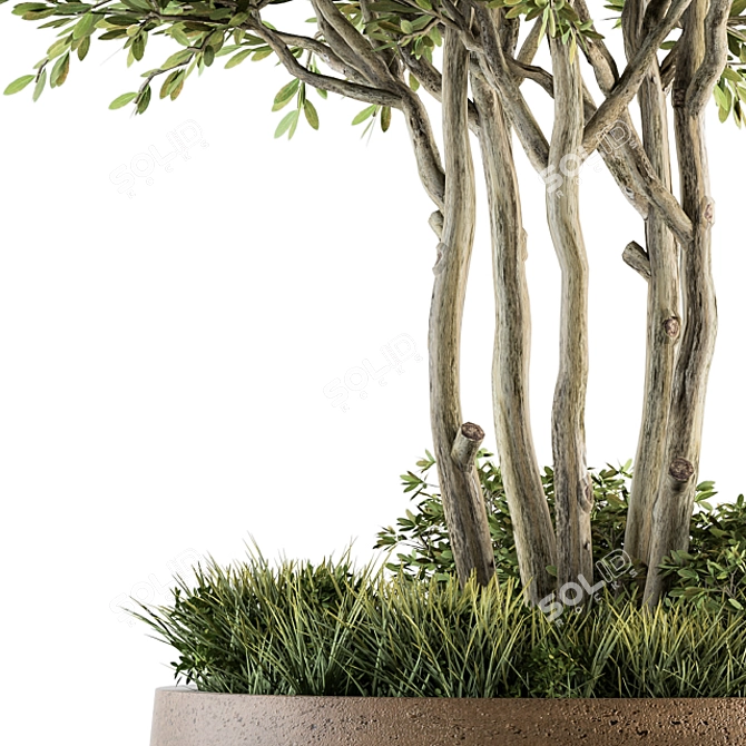 Green Oasis: Outdoor Plants in Concrete Pot 3D model image 3