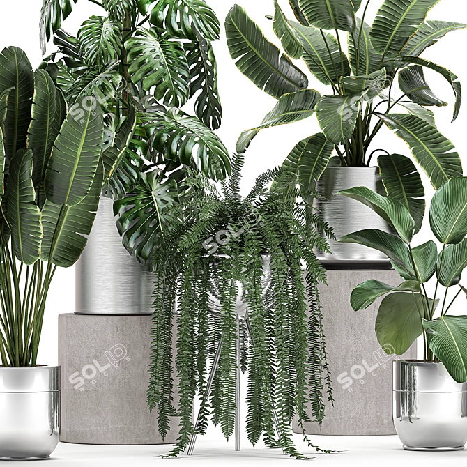 Lush Green Plant Collection for Indoor and Outdoor Spaces 3D model image 2
