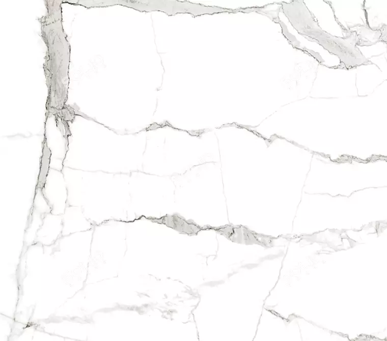 Carrara Bianco Veneer Panels 3D model image 1