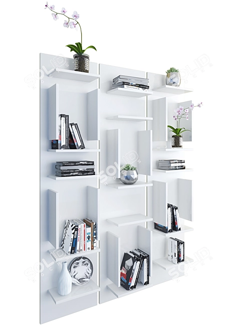 Contemporary Cattelan Italia Bookshelf: Sleek Design, Ample Storage 3D model image 1