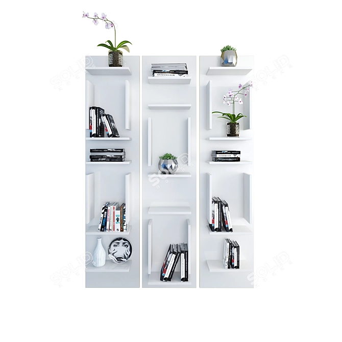 Contemporary Cattelan Italia Bookshelf: Sleek Design, Ample Storage 3D model image 2