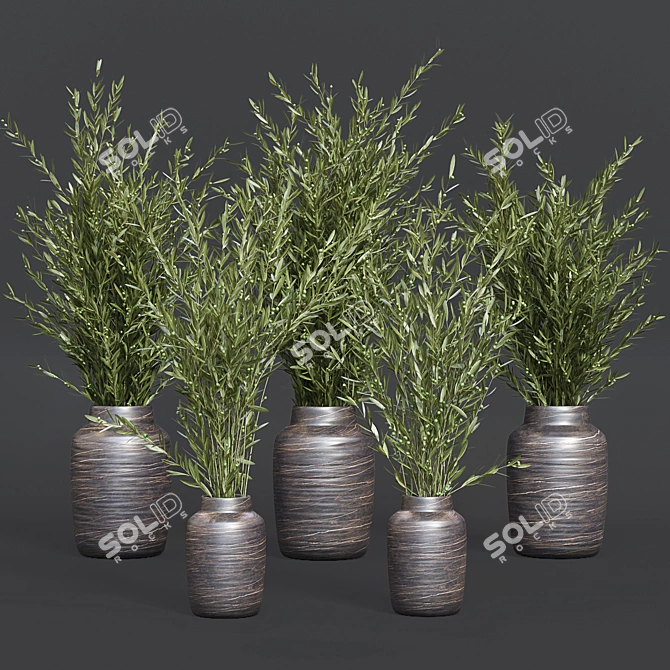 Oliv Collection Plant: 3D Model 3D model image 1