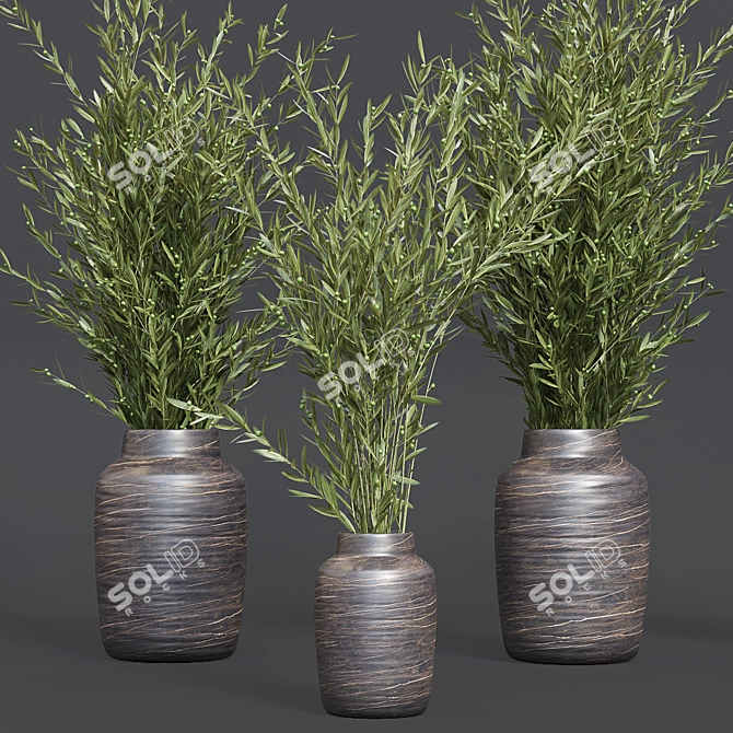 Oliv Collection Plant: 3D Model 3D model image 3