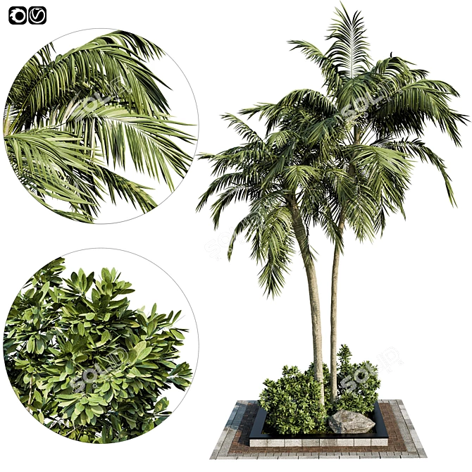 Exquisite Garden Palm Set 3D model image 1