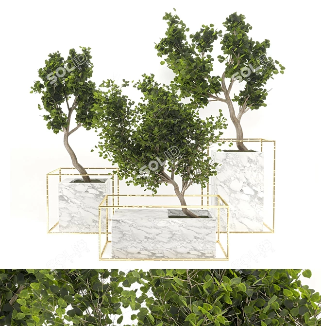 Marble Pot Outdoor Plant Set 3D model image 2