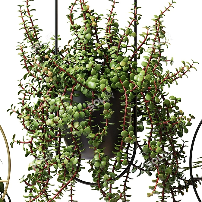 Hanging Planter Set: Cascading Ampel Plants 3D model image 3