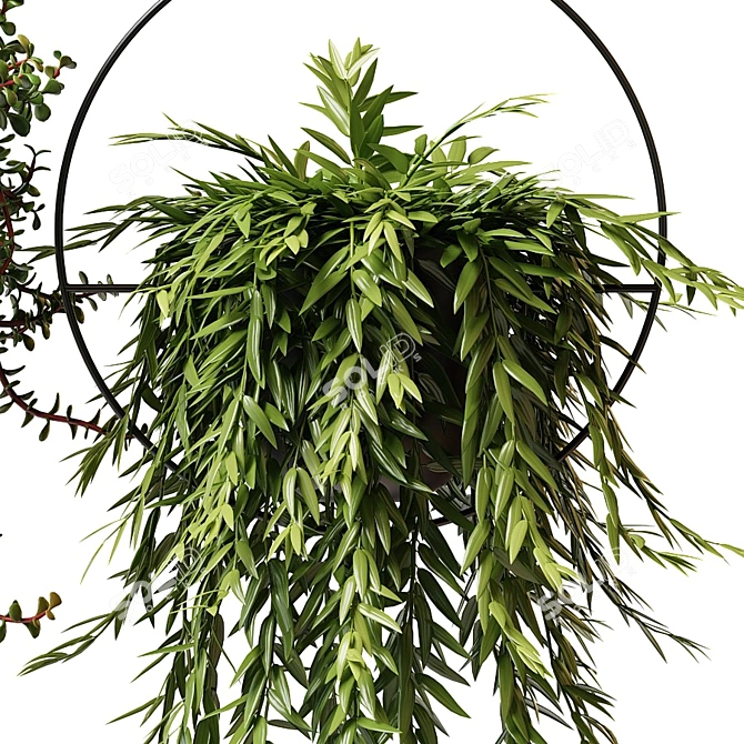 Hanging Planter Set: Cascading Ampel Plants 3D model image 4