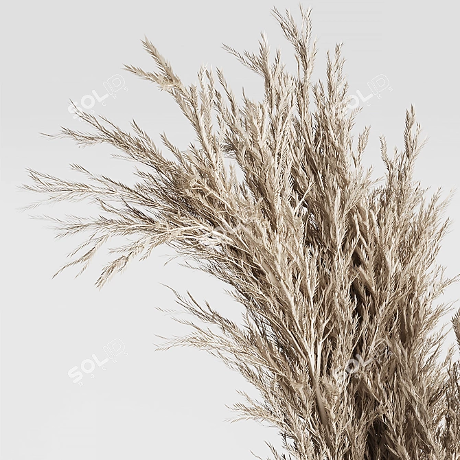 Dried Pampas Bouquets in Ceramic 3D model image 2