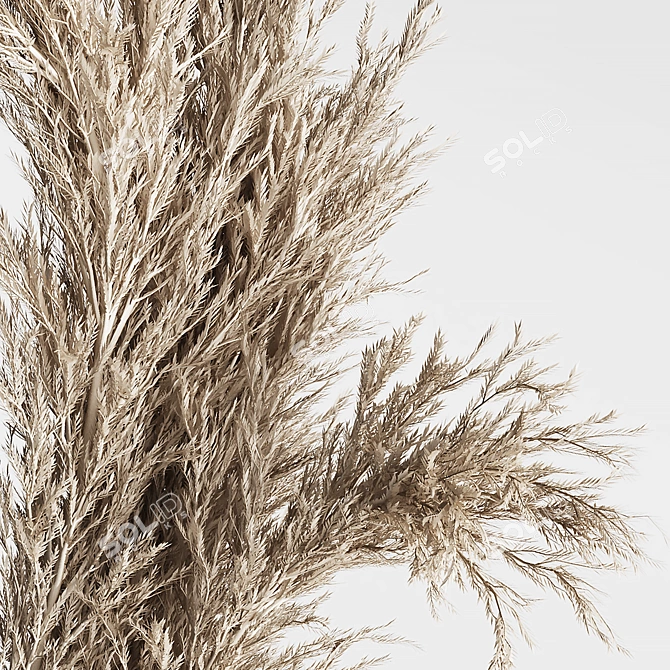 Dried Pampas Bouquets in Ceramic 3D model image 3