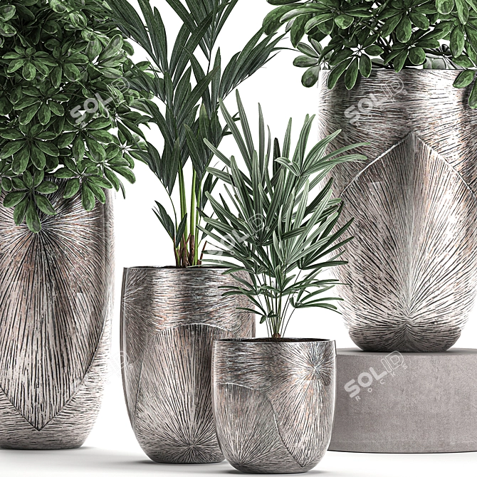 Luxury Plant Collection: Exotic & Tropical Beauties 3D model image 2