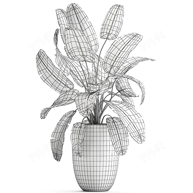 Luxury Banana Palm Collection 3D model image 5