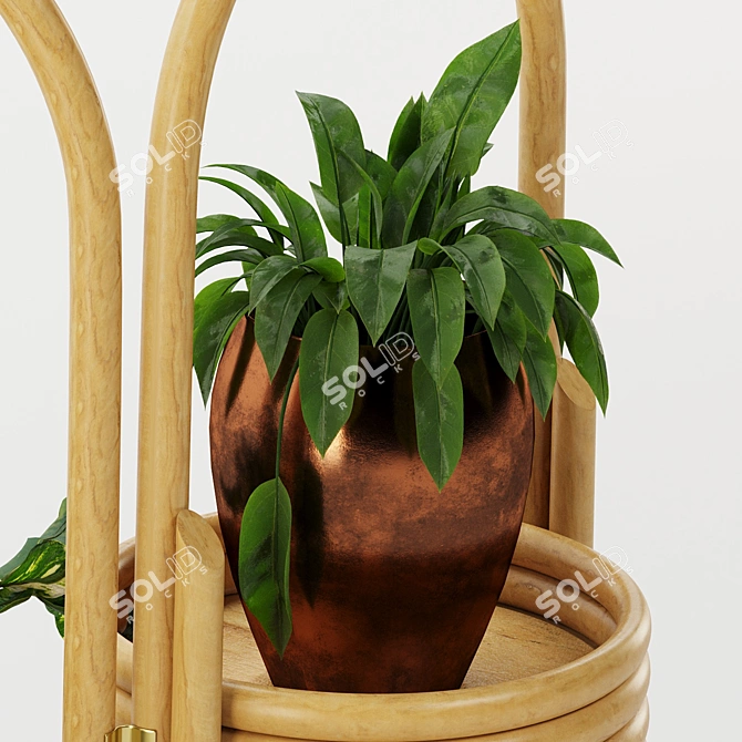 Wooden Stand Decorative Plant 3D model image 3