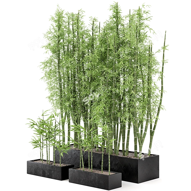  Rusty Concrete Pot Indoor Bamboo Plants Set 3D model image 3