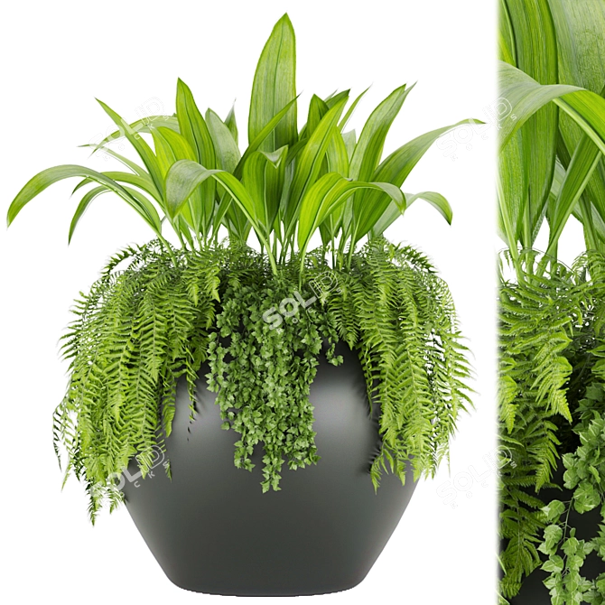 High-Quality Plant Collection (Vol 46) 3D model image 1