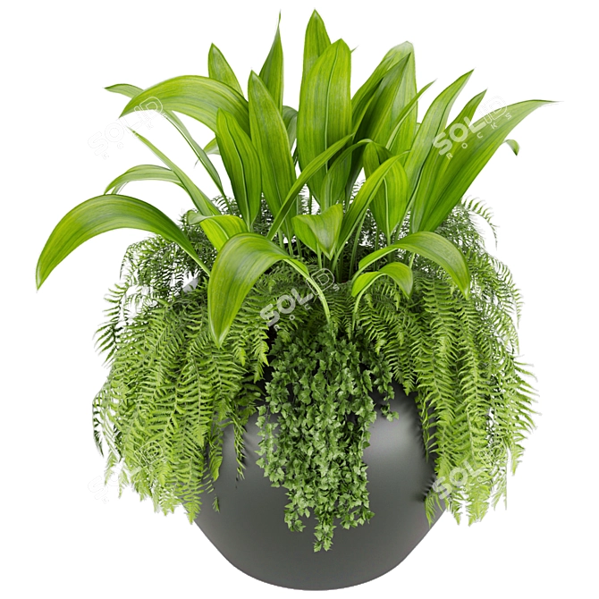 High-Quality Plant Collection (Vol 46) 3D model image 2