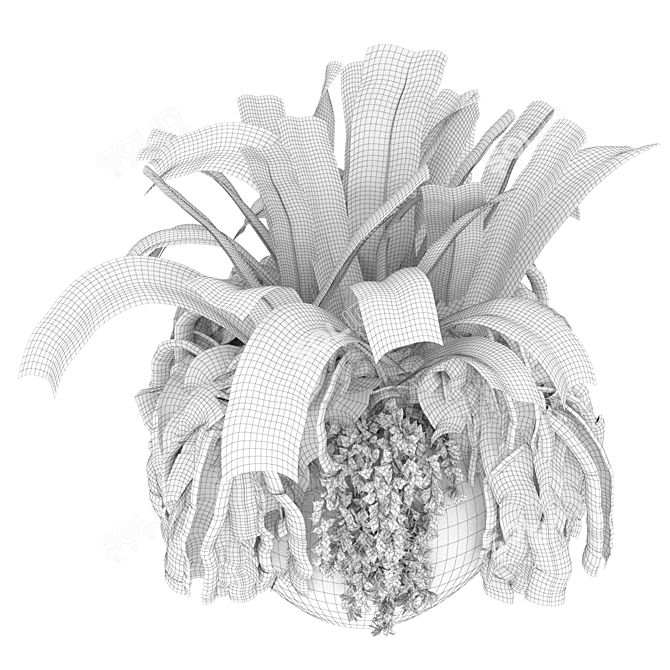 High-Quality Plant Collection (Vol 46) 3D model image 3