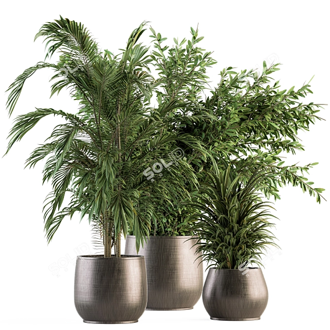 Tropical Oasis: Indoor Plant Set 112 3D model image 1