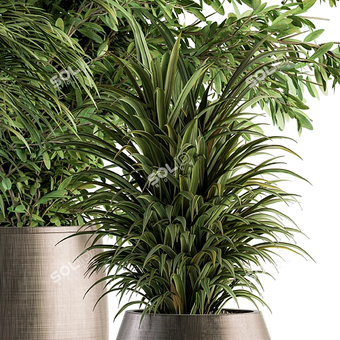 Tropical Oasis: Indoor Plant Set 112 3D model image 2