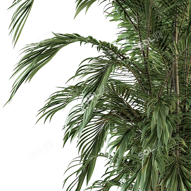 Tropical Oasis: Indoor Plant Set 112 3D model image 3