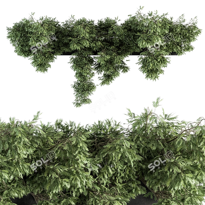 Concrete Pot Outdoor Plants Set 3D model image 2