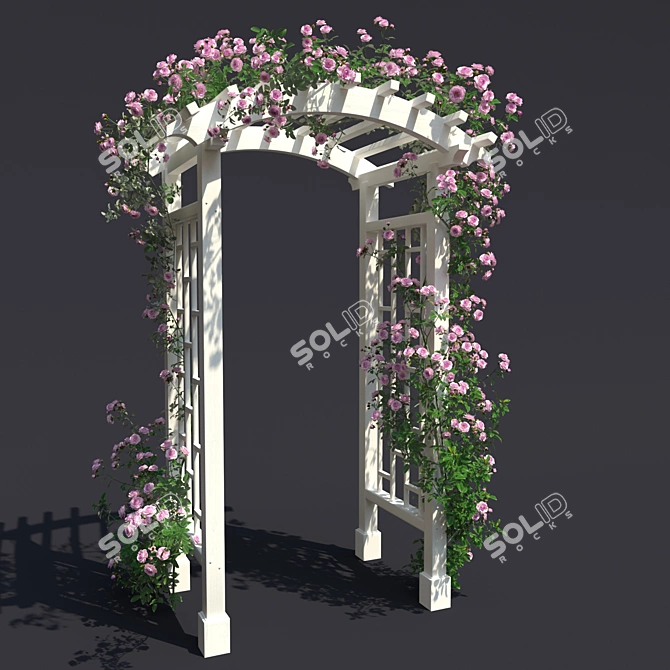 Garden Arch №3 with Climbing Roses - White  Elegant Garden Arch with Climbing Roses 3D model image 2