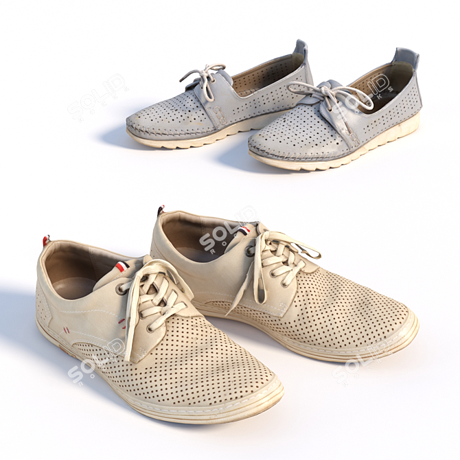 360° Scanned Shoes with High-Resolution Textures 3D model image 2