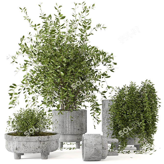  Rusty Concrete Pot Indoor Plant Set 3D model image 1