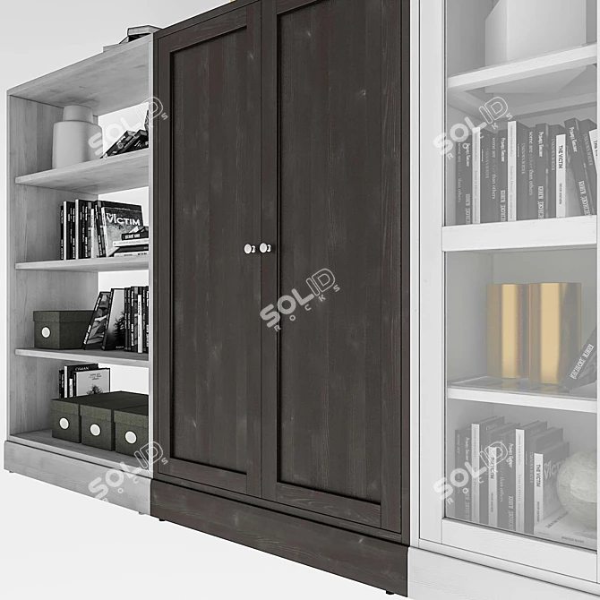 HAVSTA Glass Door Storage Combination 3D model image 3