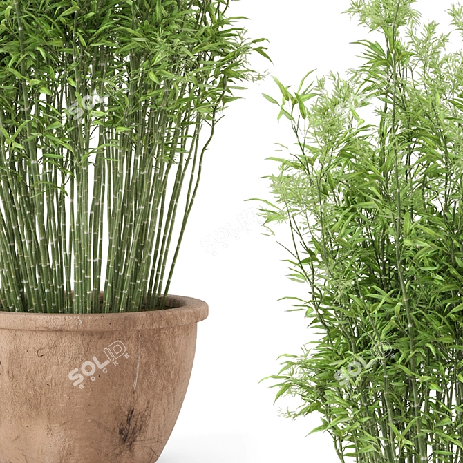 Rustic Cly Pot Set with 10 Outdoor Bamboo Plants 3D model image 3