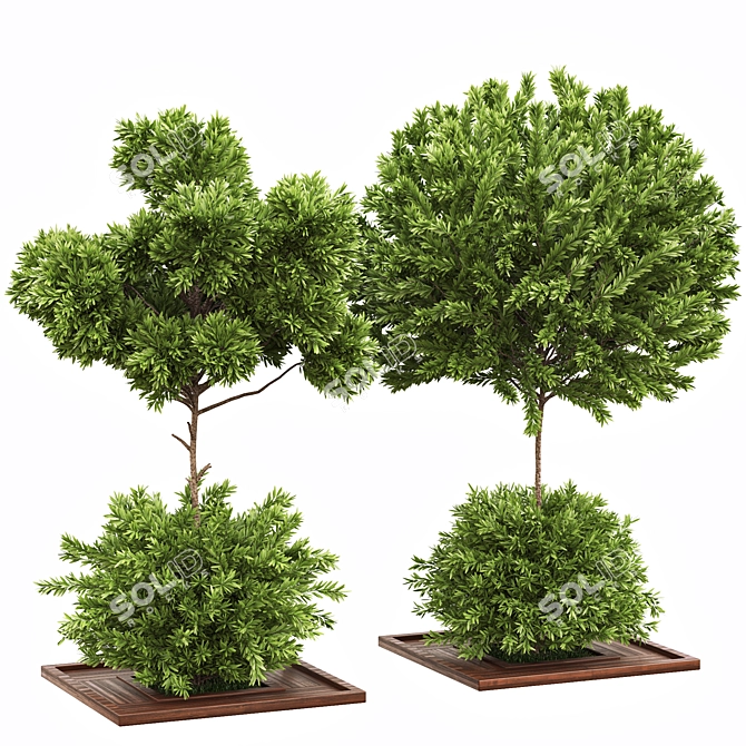 Garden Oasis Bush & Tree Set 3D model image 1