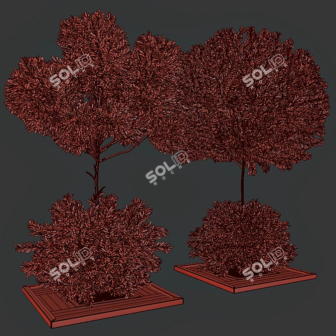 Garden Oasis Bush & Tree Set 3D model image 4