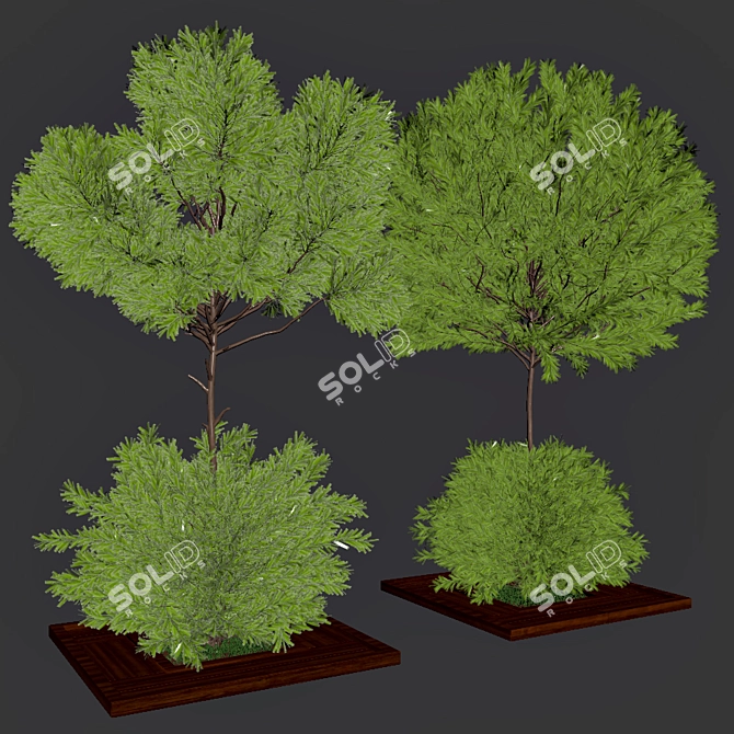 Garden Oasis Bush & Tree Set 3D model image 5