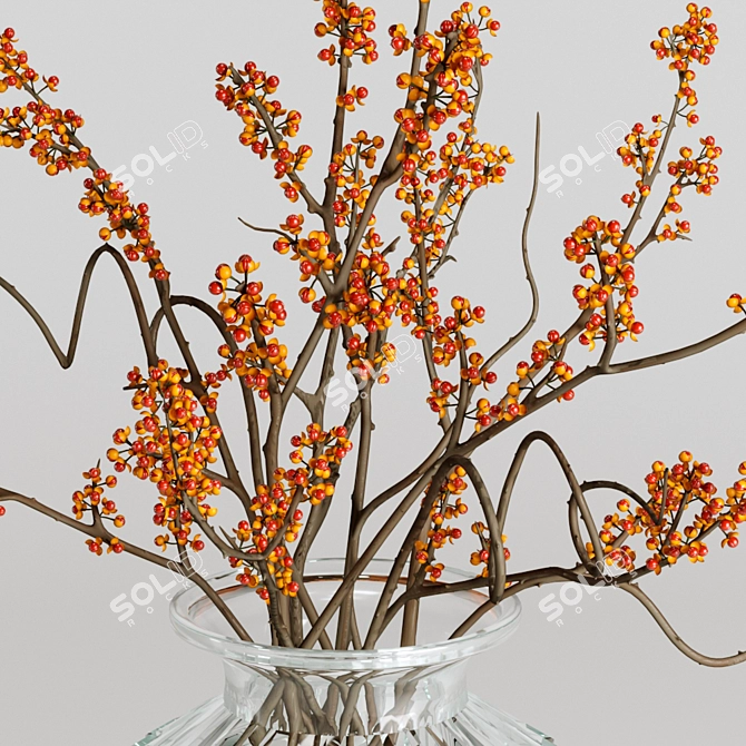 Orbicular Branches in Glass Vase 3D model image 4