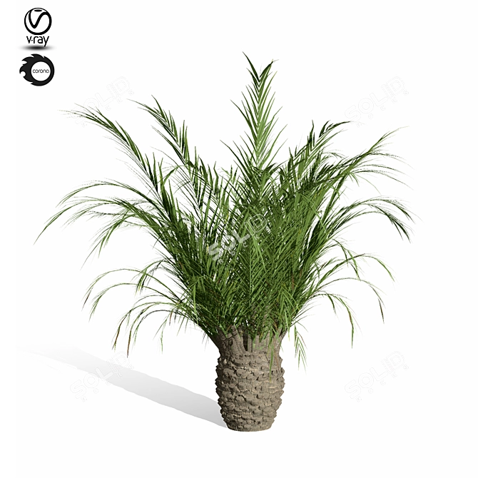 Tropical Paradise: Palm Tree 9s 3D model image 2