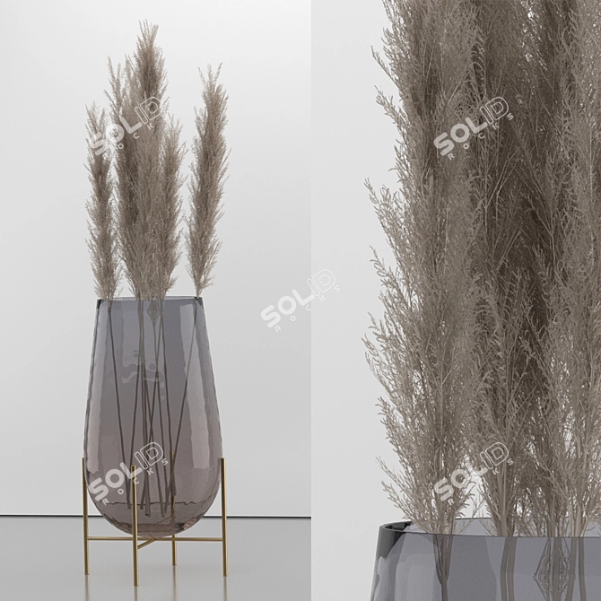 Elegant Dried Pampas Set 3D model image 4