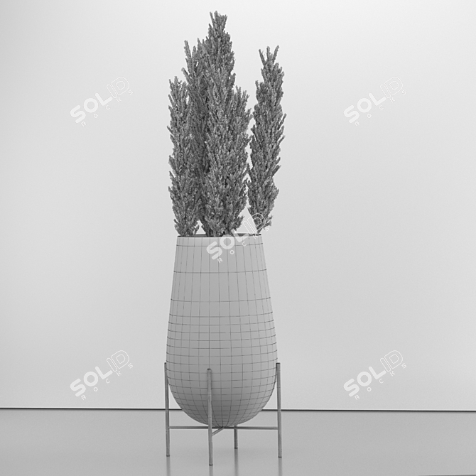 Elegant Dried Pampas Set 3D model image 5