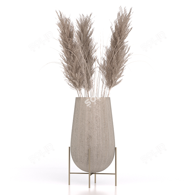 Elegant Dried Pampas Set 3D model image 8