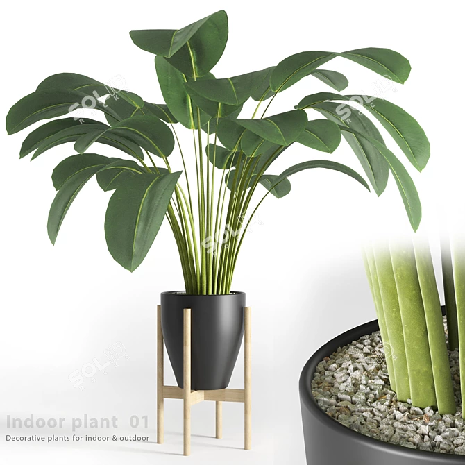 Leafy Oasis: Indoor Plant 01 3D model image 1