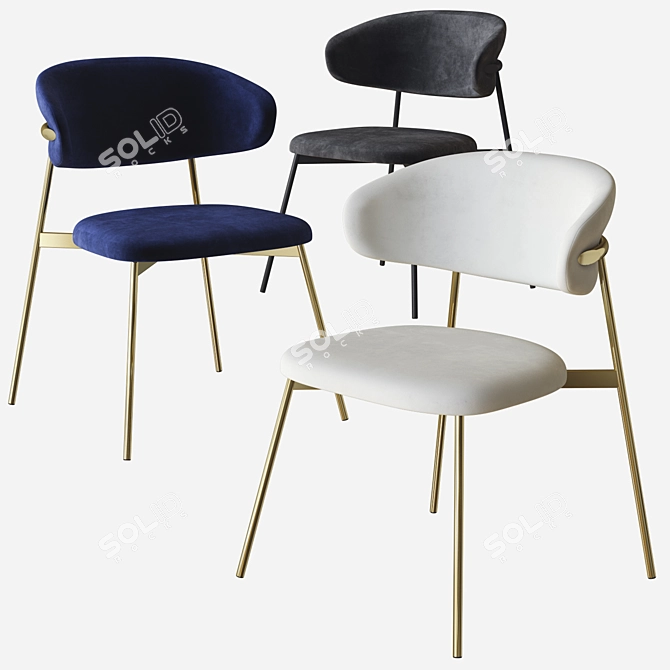 Sleek Oleandro Chair by Calligaris 3D model image 2