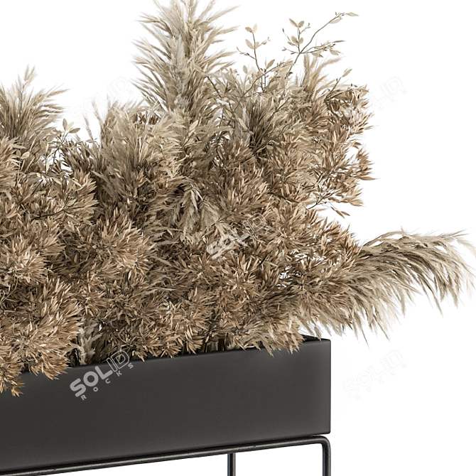 Botanical Bliss: Dried Plant Box 3D model image 2
