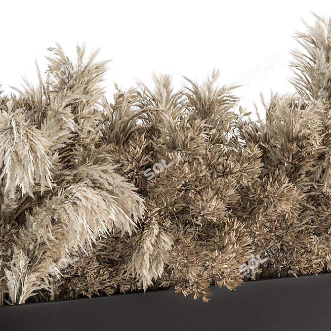 Botanical Bliss: Dried Plant Box 3D model image 3