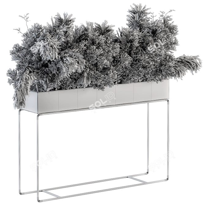Botanical Bliss: Dried Plant Box 3D model image 4