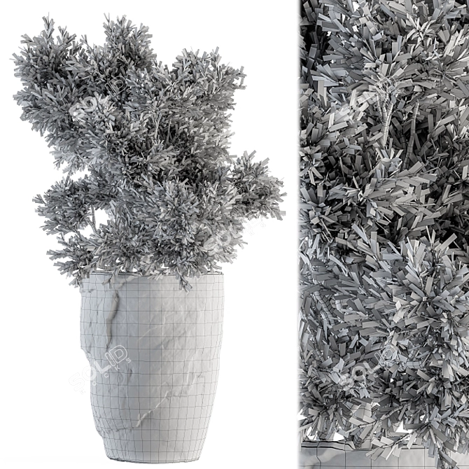  Dried Plant Set - Indoor Botanical Collection 3D model image 5