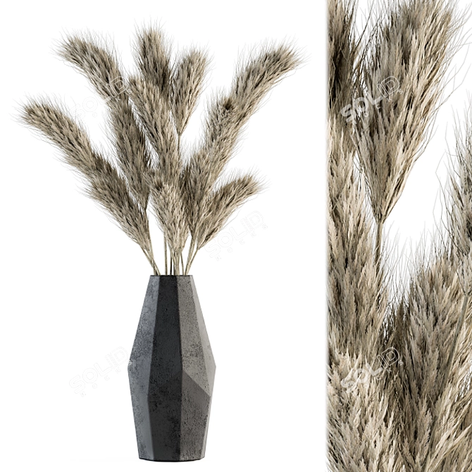 Phalaris Bouquet: Dried Botanical Charm 3D model image 1