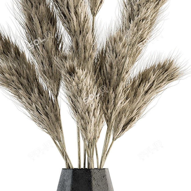 Phalaris Bouquet: Dried Botanical Charm 3D model image 2